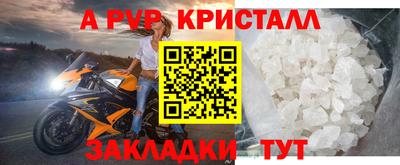 спиды Славгород