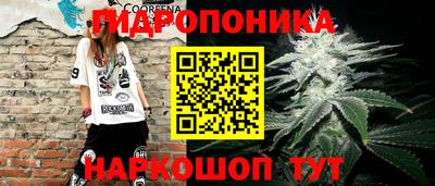 2c-b Славянск-на-Кубани