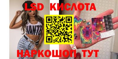 соль ск Сланцы