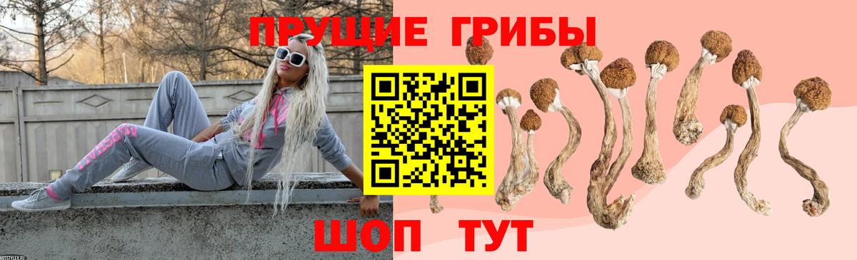 Псилоцибиновые грибы ЛСД  Вход с VPN  Нягань 